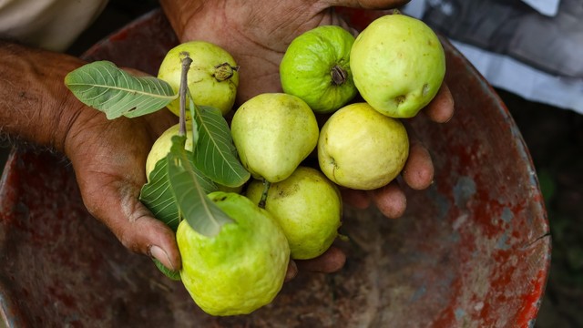 bai-viet/dau-da-day-an-oi-duoc-khong-cach-an-oi-tot-cho-da-day-68025.html