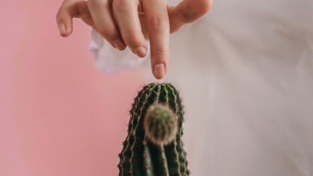 bai-viet/dau-dau-ngon-tay-la-trieu-chung-cua-benh-gi.html