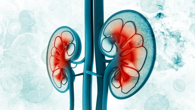 bai-viet/dau-hieu-va-cac-nghien-cuu-moi-nhat-ve-khoi-u-wilms-o-tre-em-60854.html