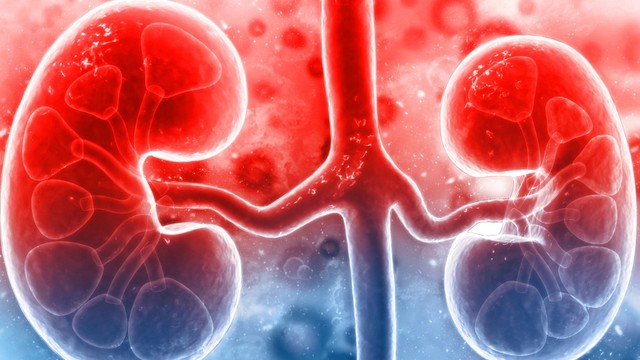 bai-viet/dau-hieu-dau-than-trai-nguyen-nhan-cach-xu-tri-va-phong-ngua-hieu-qua.html