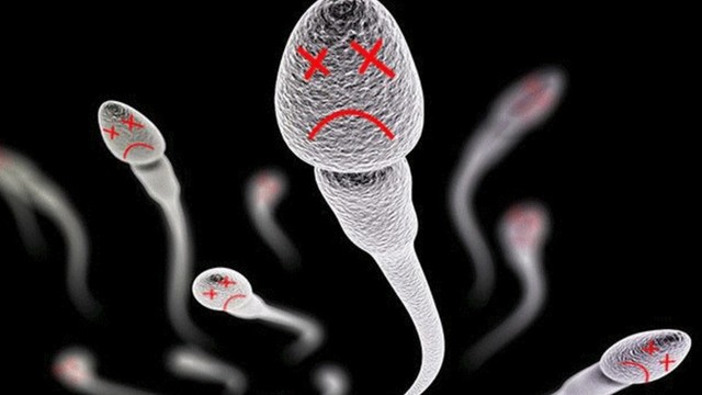 bai-viet/dau-hieu-sap-het-tinh-trung-va-cac-bien-phap-cai-thien-suc-khoe-tinh-trung.html