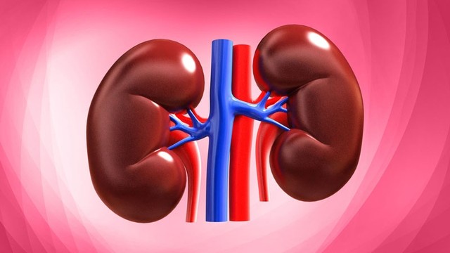 bai-viet/dau-hieu-than-co-van-de-va-nhung-dieu-ban-can-biet.html