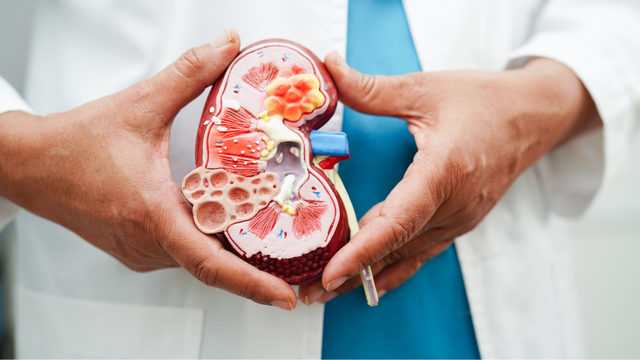 bai-viet/dau-hieu-viem-than-va-tac-dong-cua-viem-than-toi-suc-khoe.html