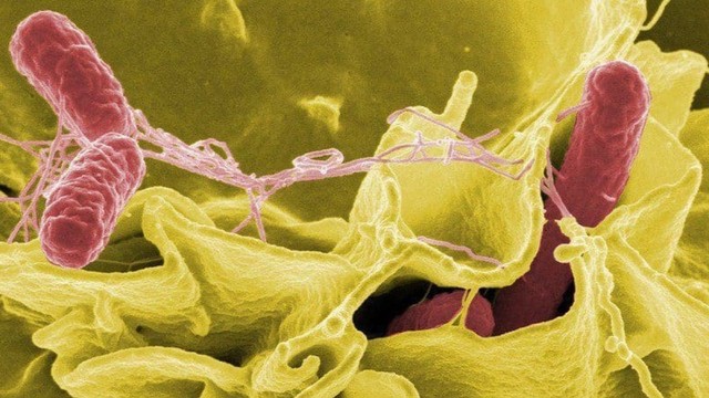 bai-viet/dau-la-nhung-tac-nhan-gay-benh-thuong-han-ban-can-biet.html