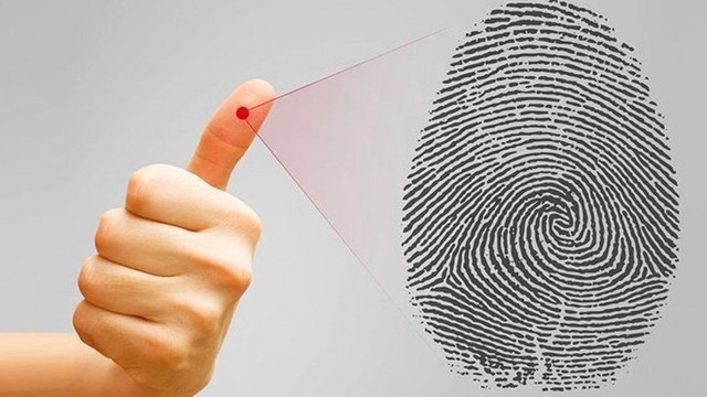 bai-viet/dau-van-tay-co-di-truyen-khong-qua-trinh-hinh-thanh-van-tay.html