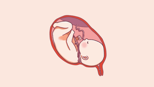 bai-viet/day-ron-quan-co-2-vong-sinh-thuong-duoc-khong.html