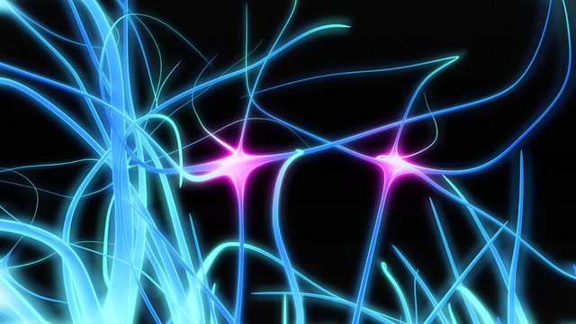 bai-viet/day-than-kinh-so-12-giu-vai-tro-gi-doi-voi-suc-khoe-con-nguoi.html