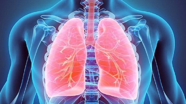 bai-viet/day-thanh-phe-quan-co-nguy-hiem-khong.html