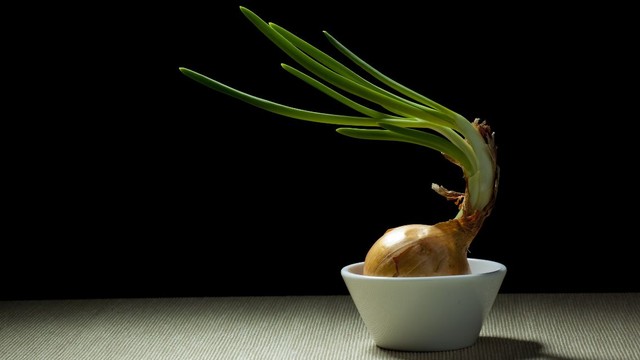 bai-viet/de-cu-hanh-tay-trong-phong-co-tac-dung-gi.html