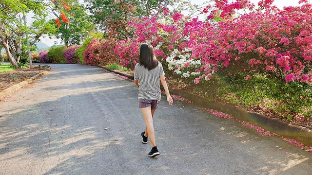 bai-viet/di-bo-bao-lau-thi-giam-can-cach-di-bo-giam-can-hieu-qua.html