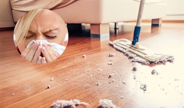 bai-viet/di-ung-bui-ban-nguyen-nhan-dieu-tri-va-cach-phong-ngua-60702.html