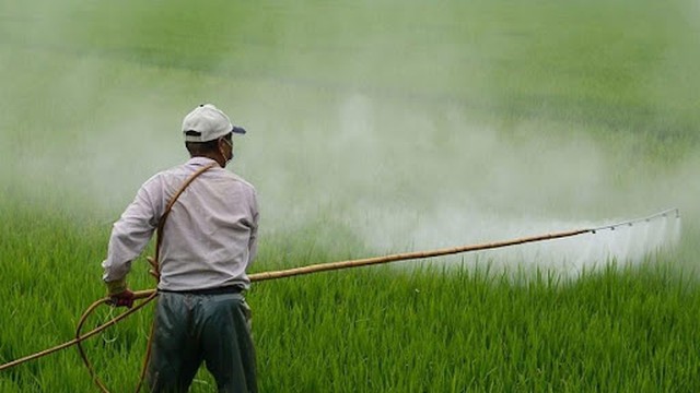 bai-viet/di-ung-thuoc-tru-sau-van-de-khong-the-xem-nhe-53150.html