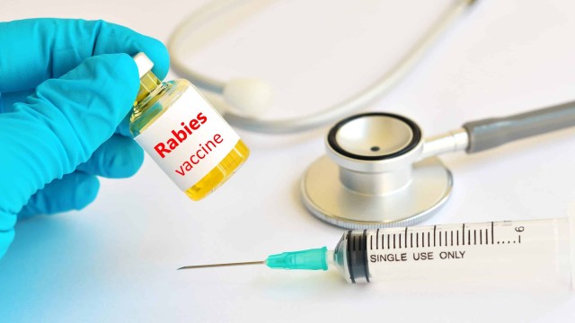 bai-viet/dia-chi-nao-chich-ngua-cho-can-o-binh-duong-uy-tin-va-an-toan.html