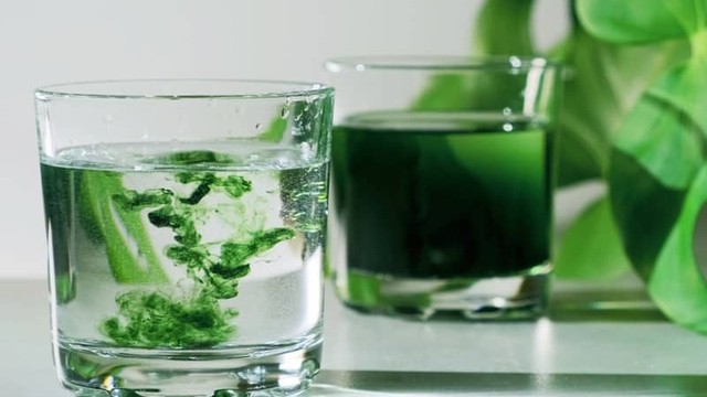 bai-viet/diep-luc-la-gi-nhung-ai-khong-nen-uong-diep-luc.html