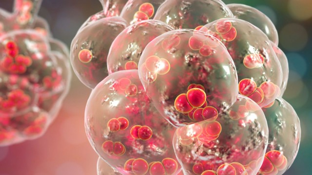 bai-viet/dieu-tri-phe-cau-hieu-qua-de-bao-ve-suc-khoe-cong-dong.html