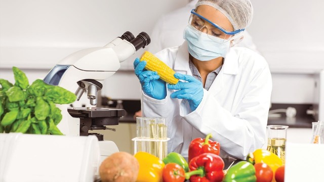 bai-viet/dinh-duong-tiet-che-va-nhung-gi-ban-can-biet.html