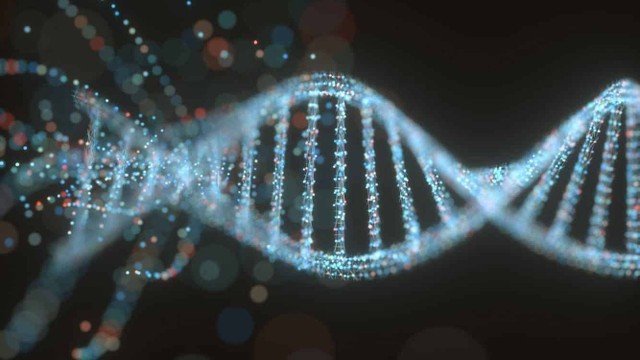 bai-viet/dna-khong-ma-hoa-la-gi-su-thay-doi-trong-dna-khong-ma-hoa-co-anh-huong-den-suc-khoe-khong.html