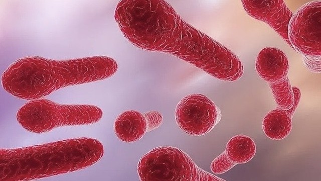 bai-viet/doc-to-uon-van-nguy-co-tiem-an-va-cach-phong-ngua-hieu-qua.html