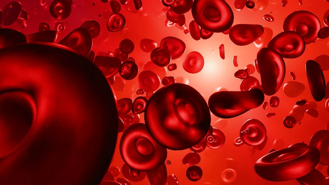 bai-viet/doi-song-hong-cau-trung-binh-khoang-bao-nhieu-ngay.html