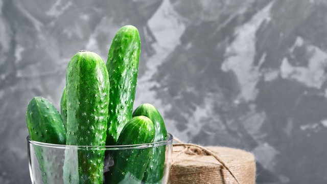 Dưa chuột bao tử là gì? Những lợi ích sức khỏe bạn cần biết