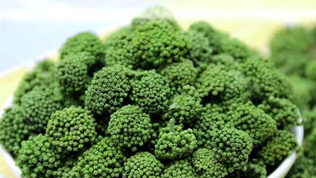 bai-viet/dung-voi-su-dung-neu-chua-biet-hoa-tam-that-nong-hay-mat.html