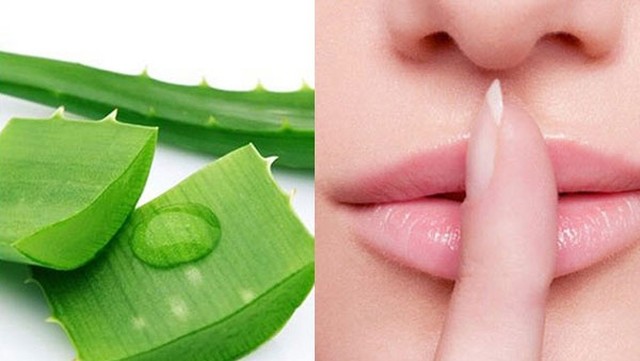 bai-viet/duong-moi-cang-hong-trang-diem-dep-hon-voi-nha-dam-49923.html