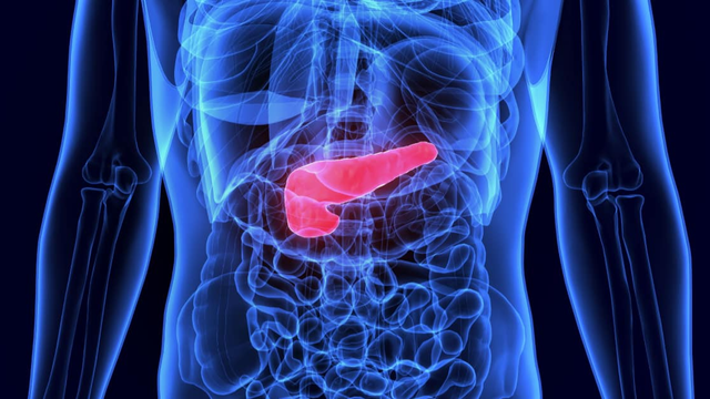 bai-viet/enzyme-trypsin-la-gi-no-co-vai-tro-nhu-the-nao-trong-co-the.html