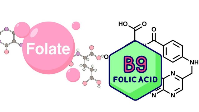 bai-viet/folate-va-axit-folic-khac-nhau-the-nao-va-co-cong-dung-gi.html