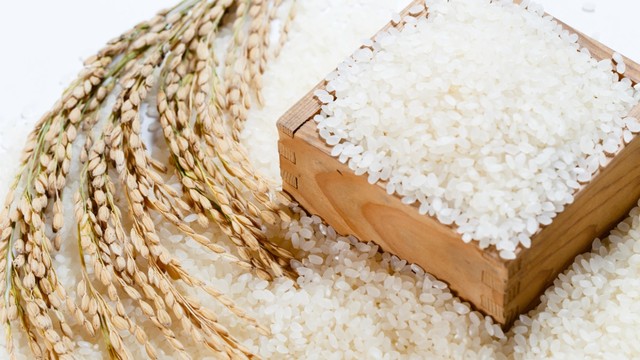 Gạo tấm là gạo gì? Lợi ích của gạo tấm trong cuộc sống