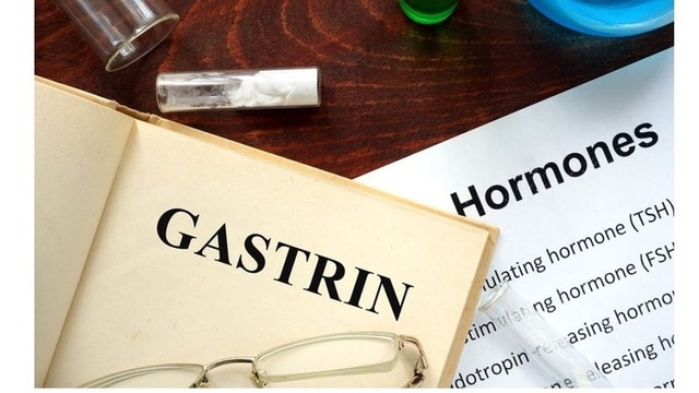 bai-viet/gastrin-hormone-la-gi-vai-tro-cua-gastrin-hormone.html