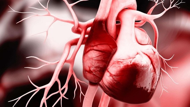 benh/gian-co-tim.html