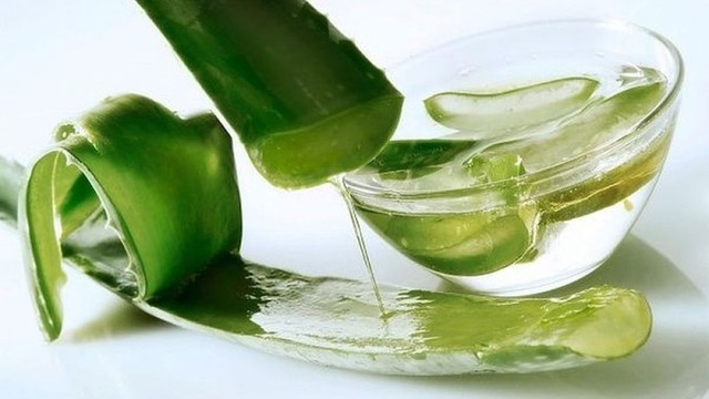 bai-viet/goi-y-tan-dung-gel-nha-dam-duong-toc-bong-benh-chac-khoe.html