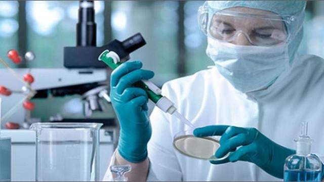 bai-viet/ghep-te-bao-goc-trong-dieu-tri-u-lympho-khong-hodgkin.html