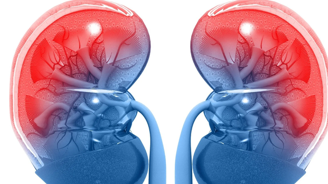 bai-viet/ghep-than-co-sinh-con-duoc-khong-vi-sao.html