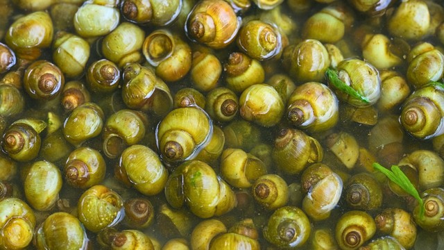 bai-viet/gia-tri-dinh-duong-co-trong-oc-gao-va-mot-so-luu-y-khi-an.html