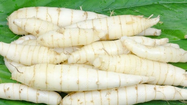 bai-viet/an-cu-dong-co-tac-dung-gi-thanh-phan-dinh-duong-co-trong-cu-dong.html