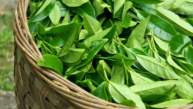 bai-viet/giai-dap-be-bi-kho-da-nen-tam-la-gi-me-nao-cung-can-biet-61142.html