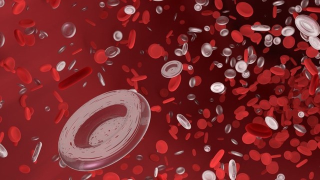 bai-viet/nguoi-mac-benh-mau-kho-dong-co-the-sinh-con-duoc-khong-nhung-luu-y-can-biet.html