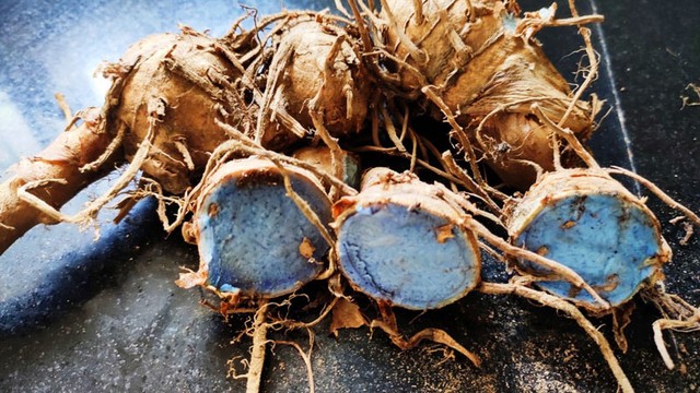 bai-viet/nghe-den-co-tac-dung-gi-nhung-dieu-can-biet-truoc-khi-su-dung.html