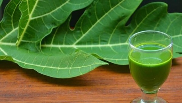 bai-viet/giai-dap-nhung-ai-khong-nen-uong-nuoc-la-du-du.html