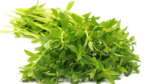 bai-viet/giai-dap-thac-mac-rau-ngo-om-tri-benh-huyet-trang-co-that-su-hieu-qua-khong-1.html