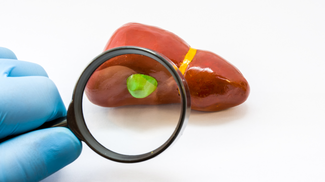 bai-viet/giai-dap-thac-mac-ve-tuoi-tho-cua-nguoi-cat-tui-mat.html