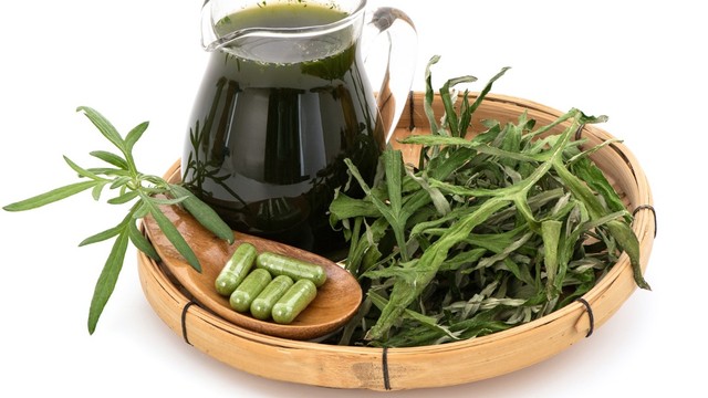 bai-viet/giai-dap-uong-nuoc-ngai-cuu-tuoi-co-tac-dung-gi-71873.html