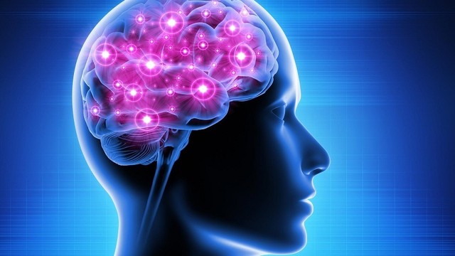 bai-viet/giai-phap-ho-tro-benh-roi-loan-tuan-hoan-nao-thieu-mau-len-nao-64058.html