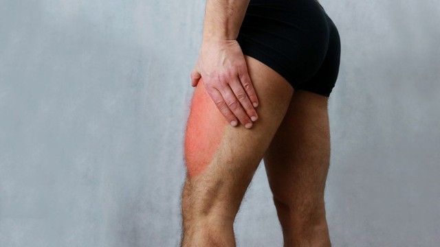 bai-viet/giai-phau-co-dui-cau-truc-chuc-nang-va-vai-tro-trong-van-dong.html