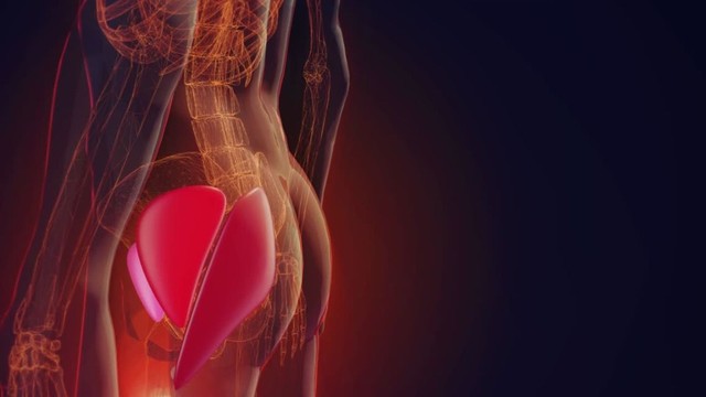 bai-viet/giai-phau-co-mong-cau-truc-chuc-nang-va-vai-tro-trong-van-dong.html