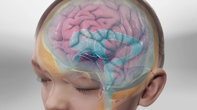 bai-viet/thai-nhi-gian-nao-that-ben-phai-9mm-co-anh-huong-khong.html