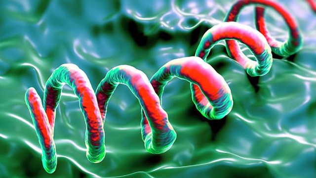 bai-viet/giang-mai-thoi-ky-2-trieu-chung-cac-phuong-phap-chan-doan-va-huong-dieu-tri.html