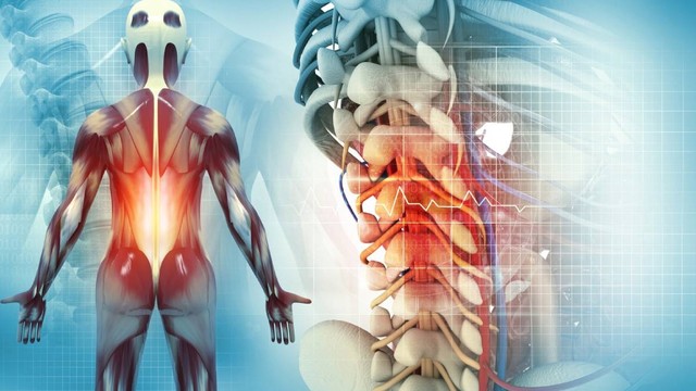 bai-viet/doi-voi-nguoi-lon-thoai-hoa-cot-song-co-nguy-hiem-khong.html