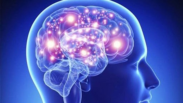 bai-viet/goc-giai-dap-hoat-huyet-duong-nao-co-tac-dung-gi-58692.html